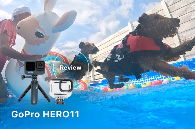 【レビュー】GoPro HERO11をGOOPASSでレンタル!愛犬と水遊びを楽しむ~ペット写真家・長谷部かおりさん~