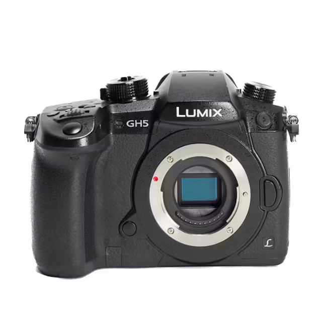 猫ちゃんの撮影におすすめなカメラ10選！一眼レフ・ミラーレスカメラを