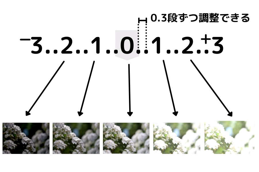 露出調整　カメラ　一眼レフ　ミラーレス