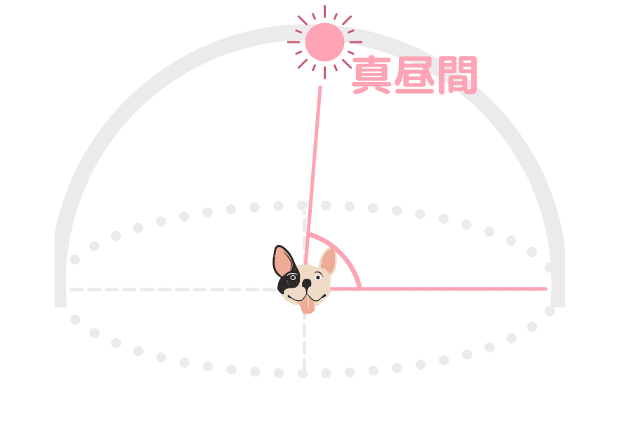 犬 カメラ 太陽 位置 昼間
