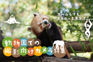 動物園に持っていきたいオススメのカメラ10選