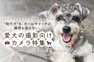 愛犬の撮影にオススメのカメラ10選