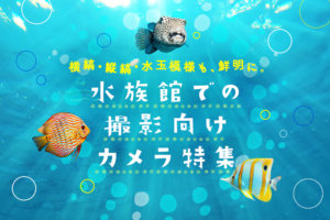 水族館での撮影にオススメのカメラ10選