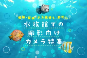 水族館での撮影にオススメのカメラ10選