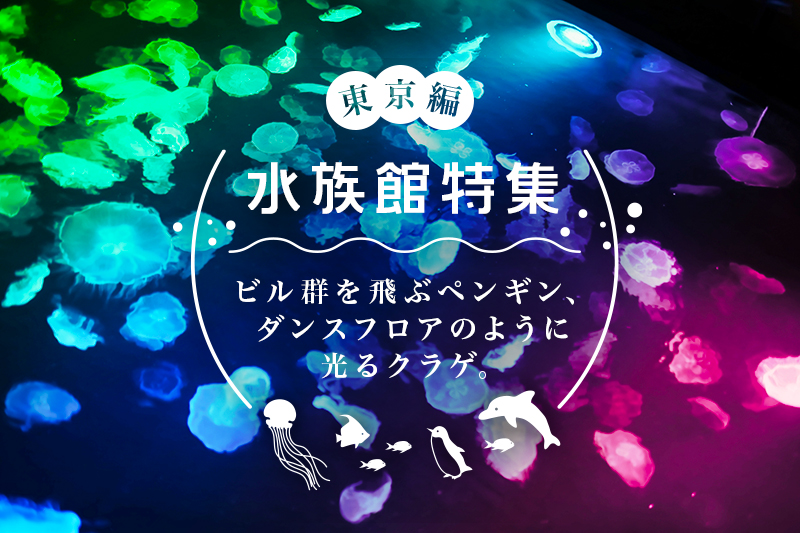 ☆京都水族館　すみだ水族館　ショップorカフェご利用券　4000円☆ 株主優待年パスで、最後の京都水族館 | MEmorandum