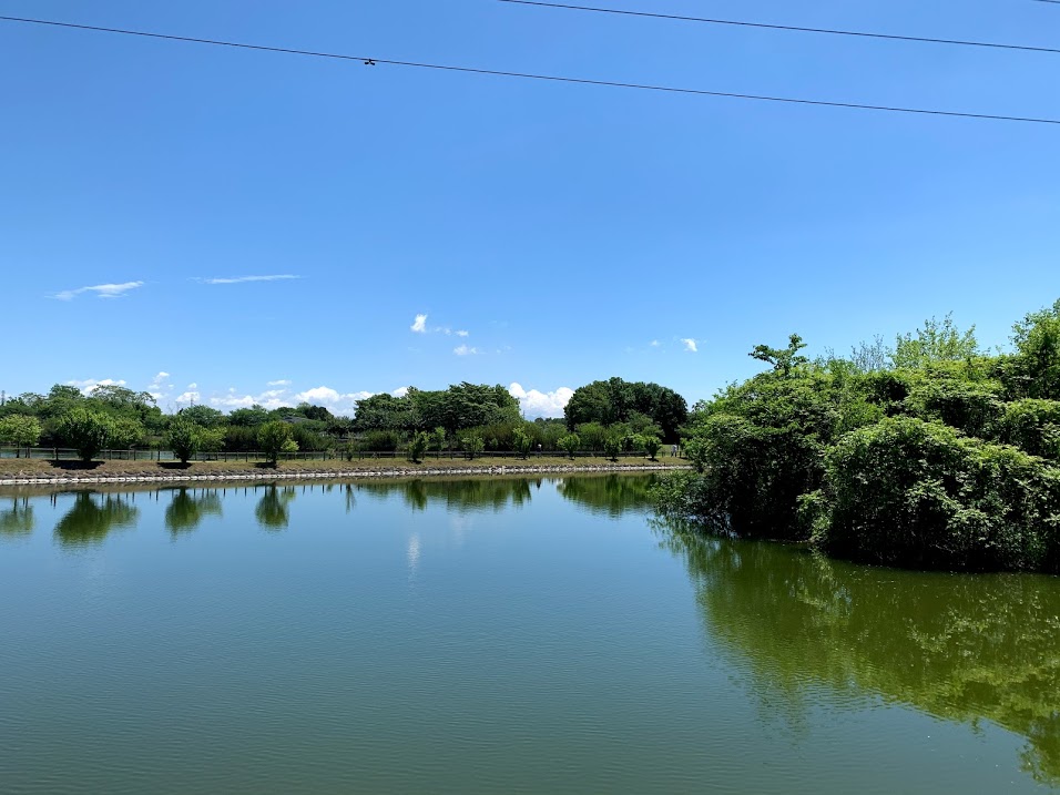 大沼親水公園