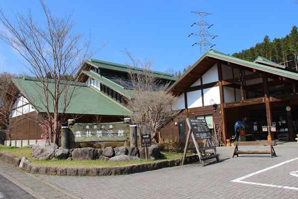 栃木県民の森