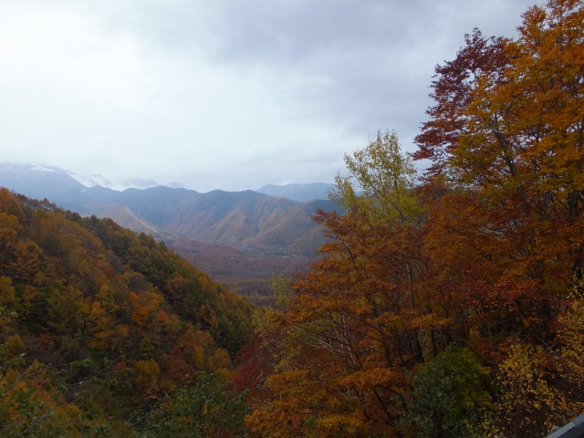 白樺峠
