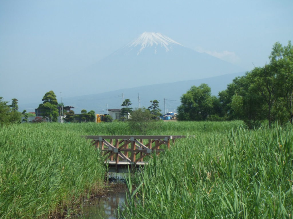 浮島ヶ原 静岡