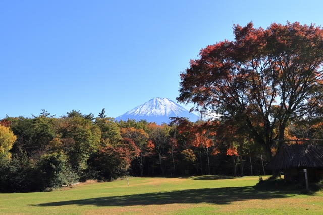 西湖 野鳥の森公園 富士山