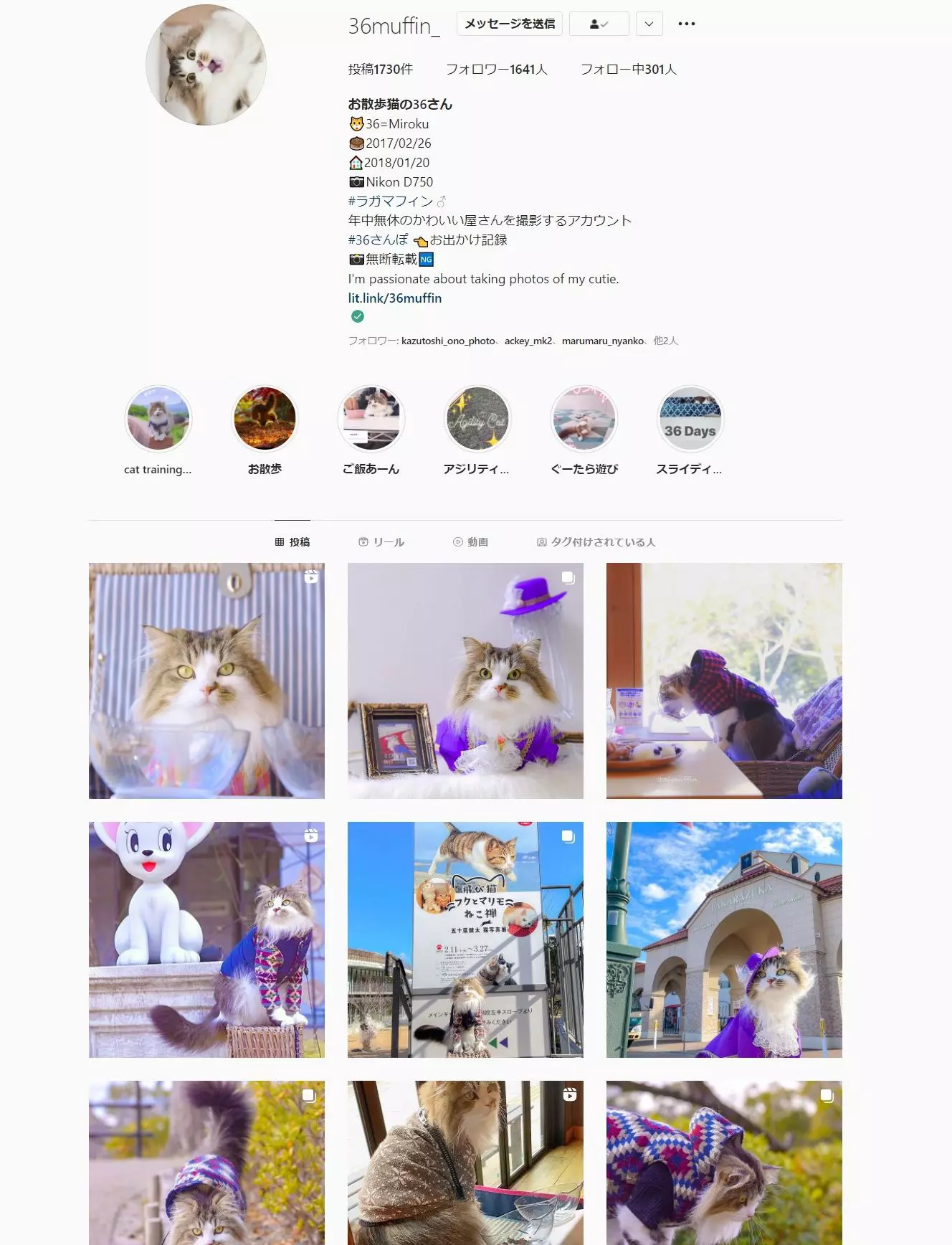 第2弾 人気の猫写真家 猫フォトグラファー10選 Goopass Animal Magazine 第2弾 人気の猫写真家 猫フォトグラファー10選 Goopass Animal Magazine