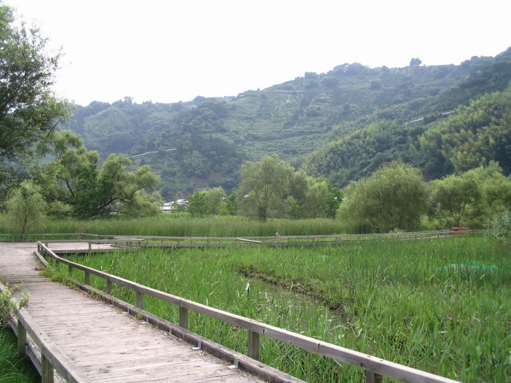 麻機遊水地 静岡