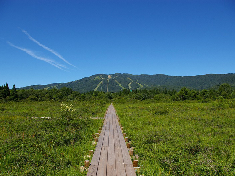 ひるがの高原　岐阜県