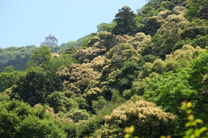 金華山　岐阜県