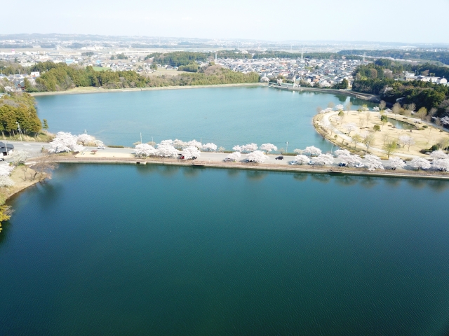 両ヶ池 三重県