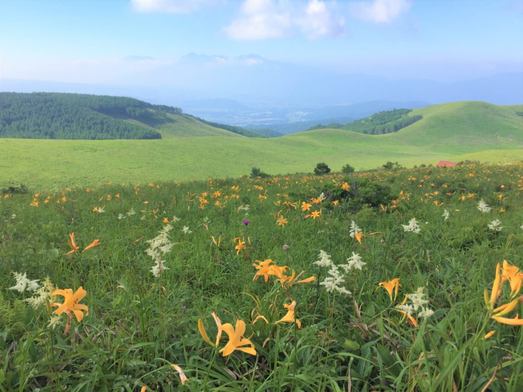 霧ヶ峰高原　長野県