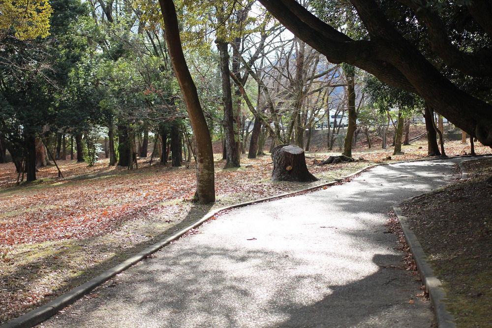 伊勢五十鈴公園 三重県