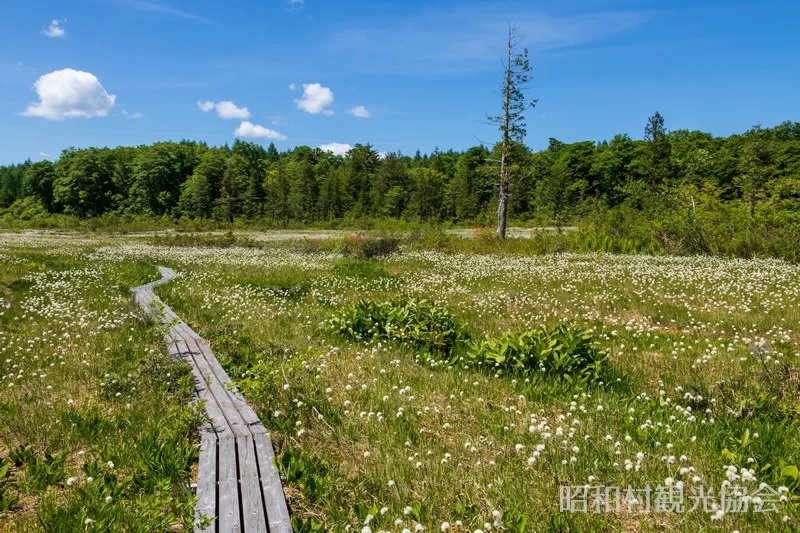 駒止湿原 福島県