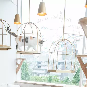 東京都でオススメの猫スポット10選 Goopass Animal Magazine