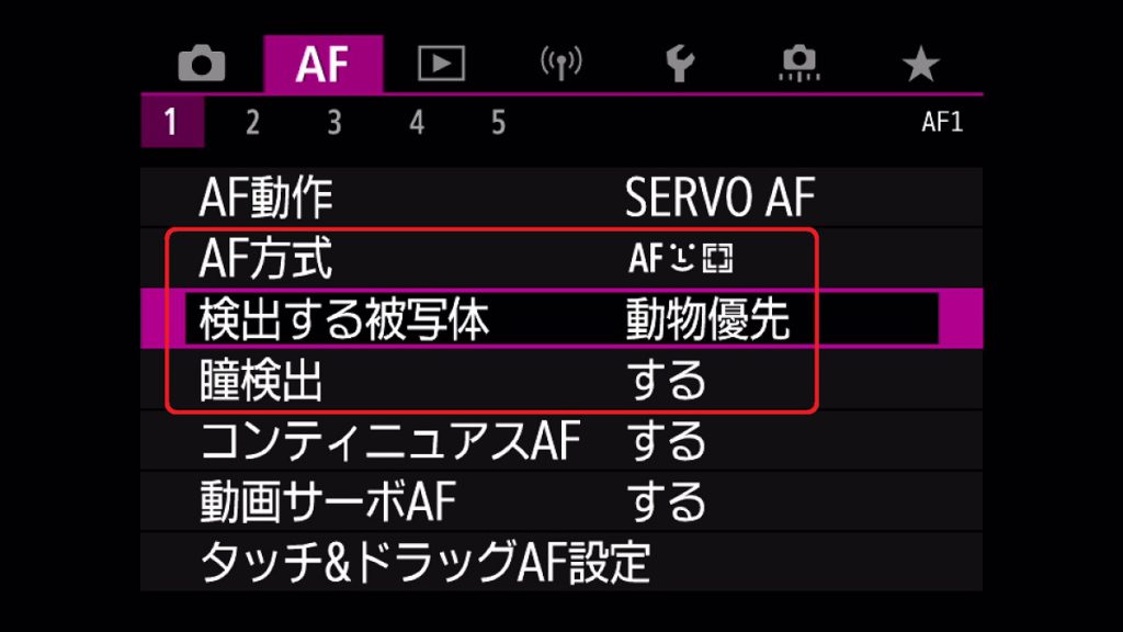 野鳥 設定 鳥優先