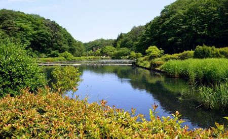 台原森林公園
