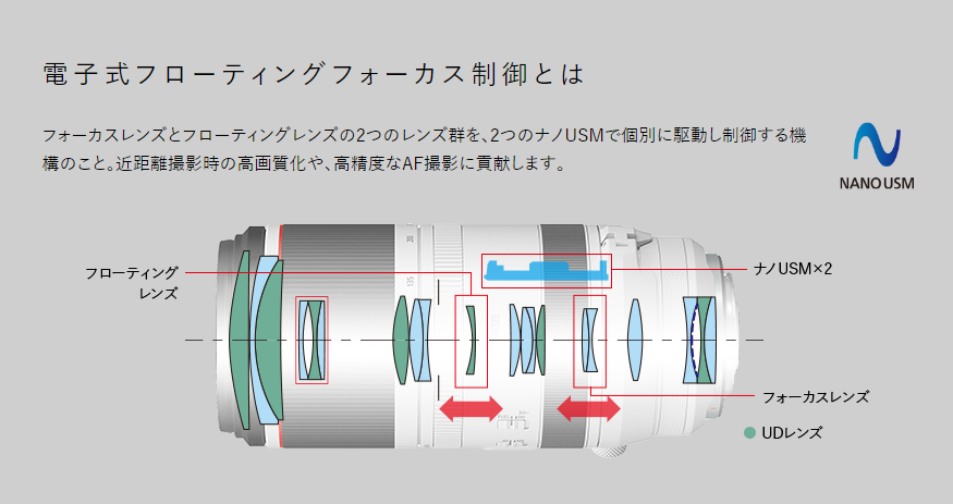 実写レビュー Canon キヤノン RF100-500mm F4 5-7 1L IS USMで野鳥を撮影してみた ANIMAL MAGAZINE
