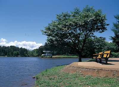 大堤公園