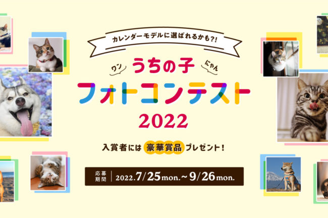 アイペット「うちの子フォトコンテスト2022」投稿キャンペーン開始