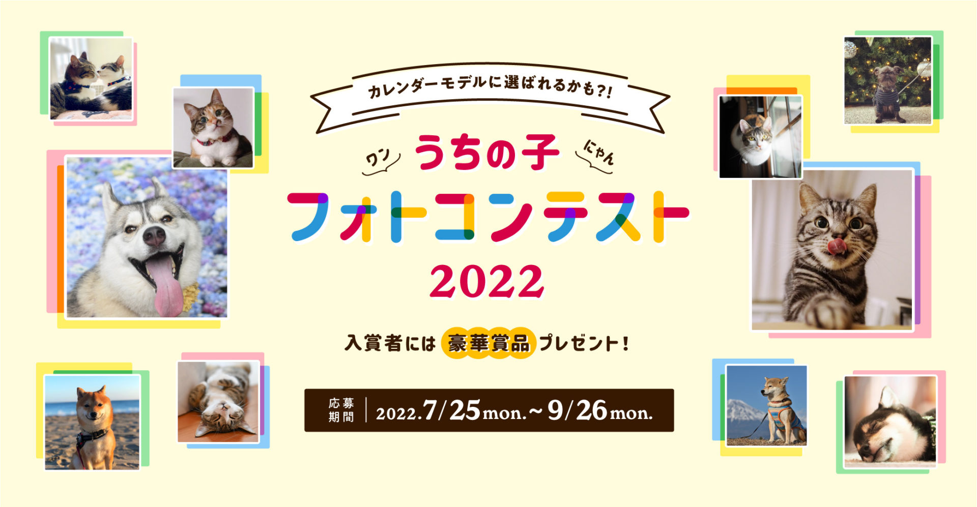 参照：https://prtimes.jp/main/html/rd/p/000000104.000046213.html