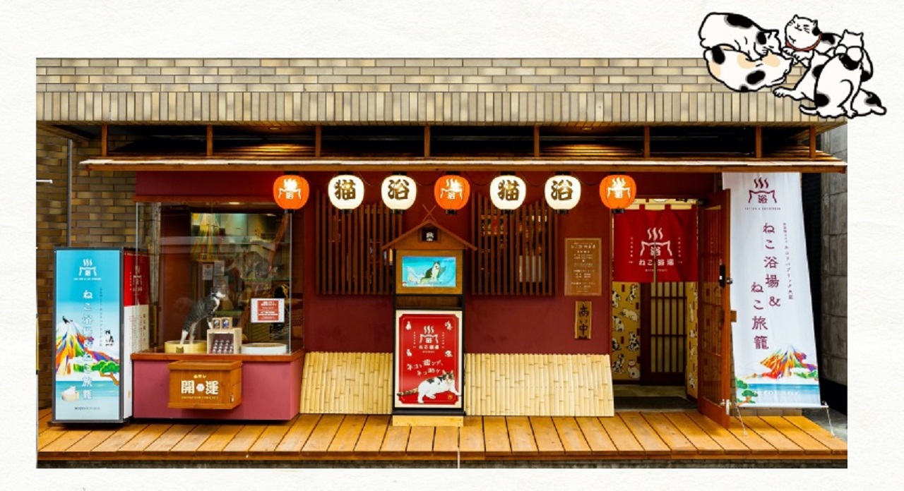 ネコリパブリック大阪