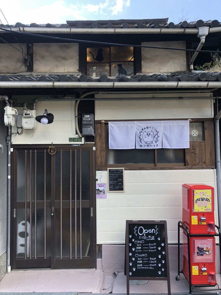 漫画猫カフェ ねこのたつき