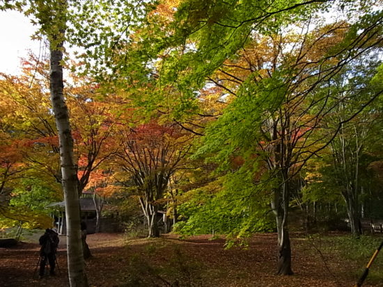 塩嶺御野立公園