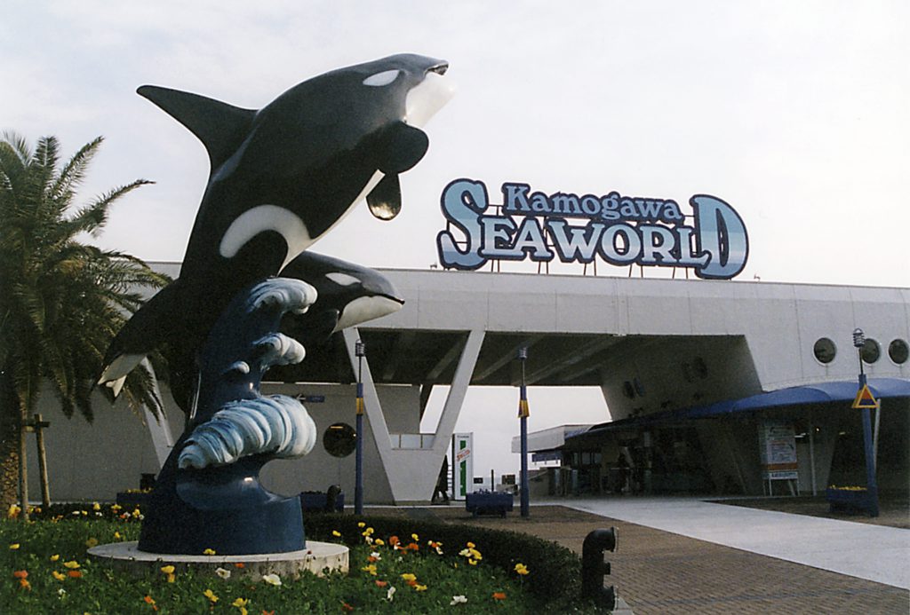 aquarium-killerwhale