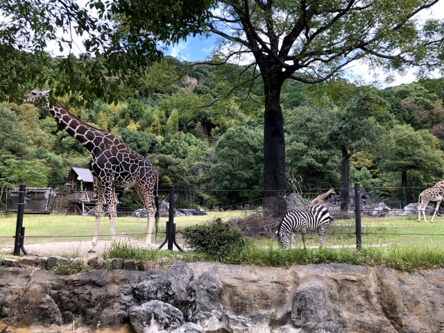 高知県 のいち動物公園