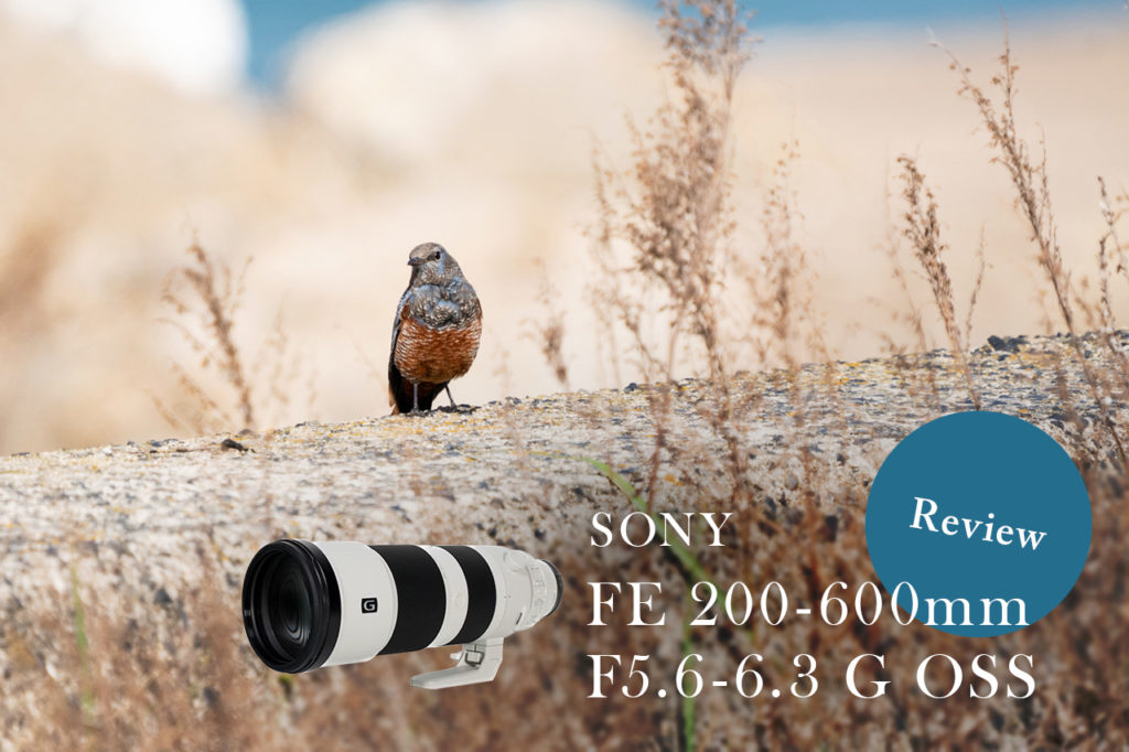 FE 200-600mm F5.6-6.3 G OSS