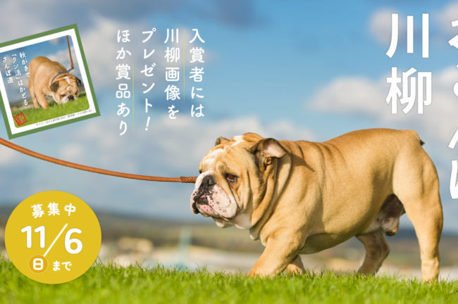 我が子の面白おさんぽエピソードを川柳に！SNSコンテスト「わんこのおさんぽ川柳」好評開催中！オリジナル川柳画像や足腰にやさしい“吸着タイルマット”、クーポンも当たる！