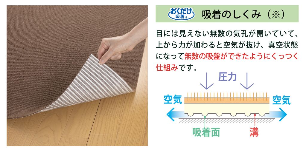 わんこのおさんぽ川柳