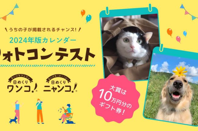 “みんなでつくる”日めくりカレンダー『日めくりワンコ!®2024』『日めくりニャンコ!®2024』フォトコンテスト開催