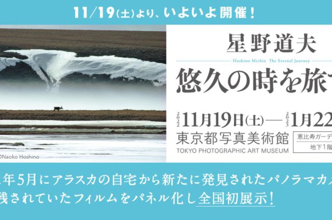 星野道夫「悠久の時を旅する」、いよいよ2022年11⽉19⽇（土）より東京都写真美術館で開催！