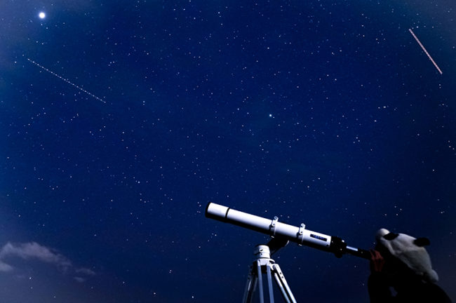 １日３０名様限定の星空ツアー「星空の中で動物と出逢う in Autumn Night 」開催！２０２２年１１月２５日（金）～２７日（日）