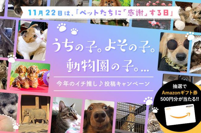 【投稿キャンペーン】『うちの子。よその子。動物園の子。...今年のイチ推し♪』投稿キャンペーン始めます。