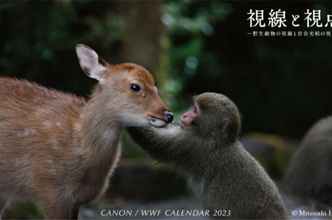 キヤノン/WWFカレンダー2023「視線と視点～野生動物の視線と岩合光昭の視点～」を発売