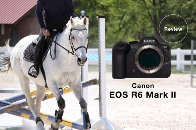 Canon EOS R6 MarkⅡで『馬』を撮影！馬瞳AFやトラッキング性能をレビュー