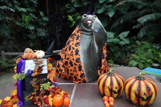 【伊勢シーハロウィーン 2023 開幕！！】伊勢シーパラダイスにハロウィーンがやってきた！！