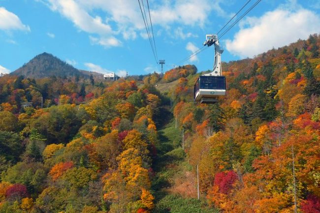 【富良野スキー場】ワンちゃんと一緒に紅葉絶景空中散歩「秋の富良野ロープウェー」営業開始標高900mのゲレンデで「ドッグラン」を同時開催