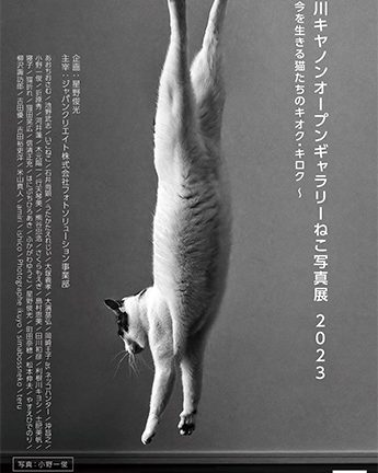 「品川キヤノンオープンギャラリーねこ写真展2023」開催！ANIMAL MAGAZINEでご紹介した猫写真家も多数参加