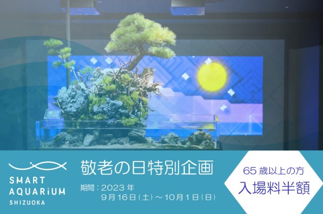 【敬老の日 特別キャンペーン】65歳以上の方は水族館の入場料半額！百貨店の中にあるスマートアクアリウム静岡で安らぎのひと時を