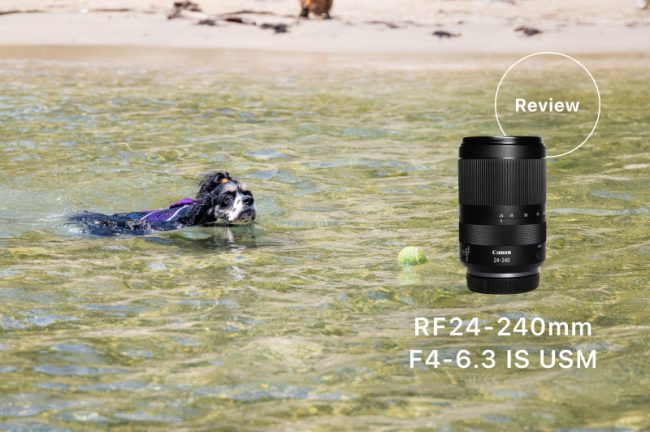 Canon RF24-240mm F4-6.3 IS USMレビュー!愛犬との水遊びや旅行に便利な1本