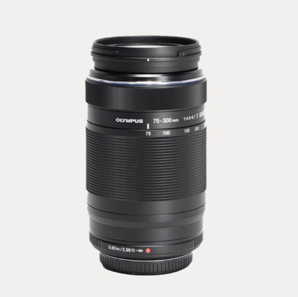 写真付き】マイクロフォーサーズ神レンズ特集！OM SYSTEM・Panasonicの