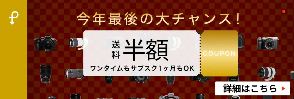 実写レビュー！Canon（キヤノン） EOS R6で野鳥を撮影してみた